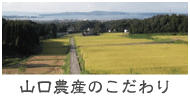 山口農産のこだわり