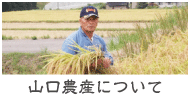 山口農産とは